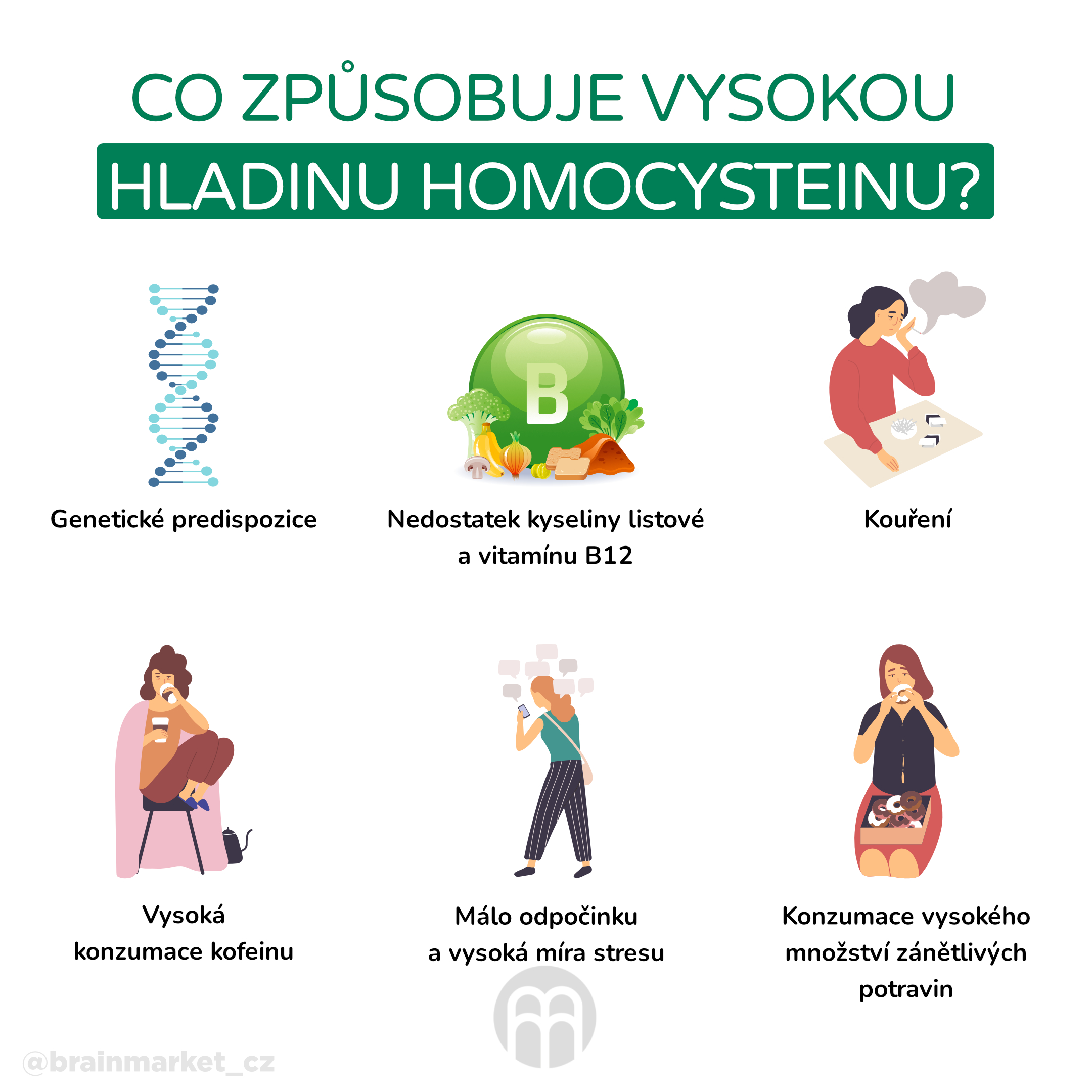 co zpusobuje vysokou hladinu homocysteinu_infografika_cz